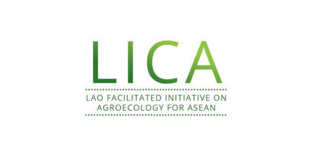 LICA